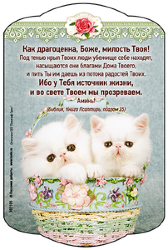 Как драгоценна, Боже, милость Твоя!
