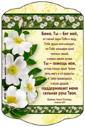 Боже, Ты - Бог мой!