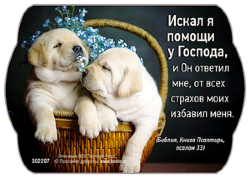 Искал я помощи у Господа