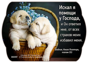 Искал я помощи у Господа