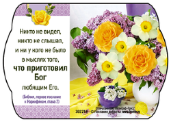 Никто не видел, никто не слышал