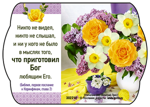 Никто не видел, никто не слышал